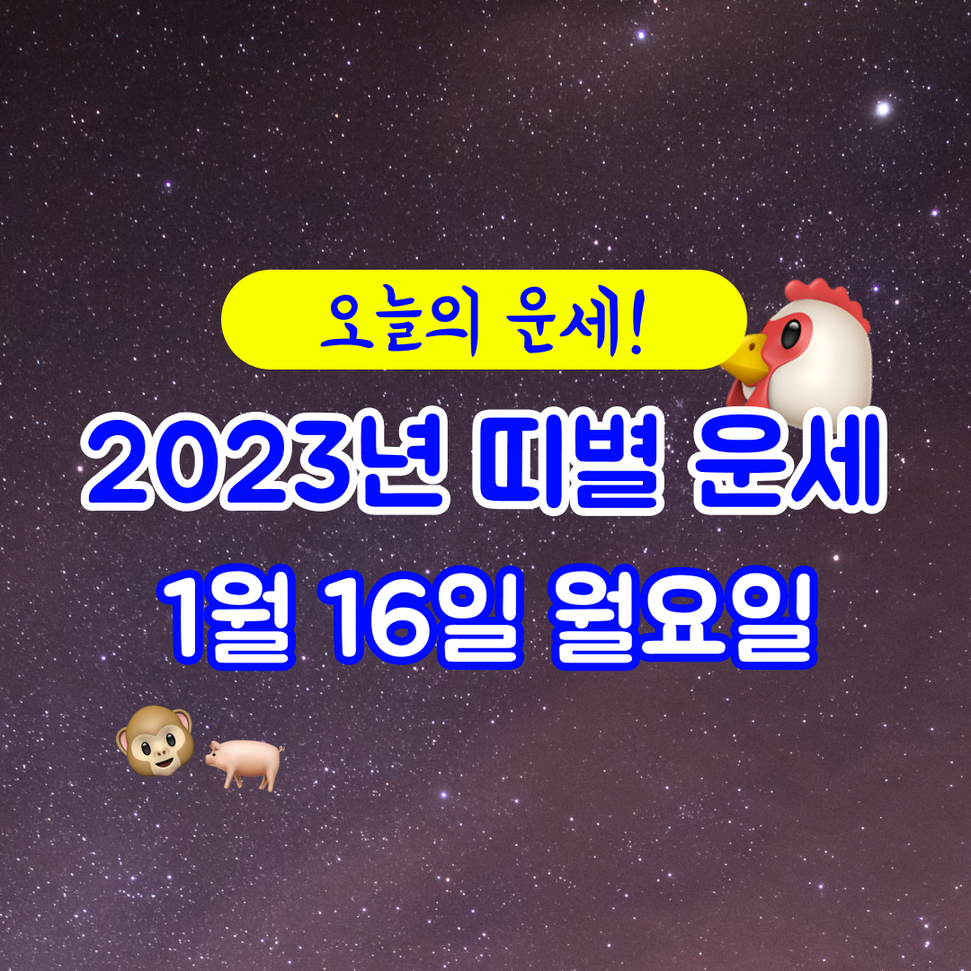  2023년 1월 16일 월요일 오늘의 운세보기~