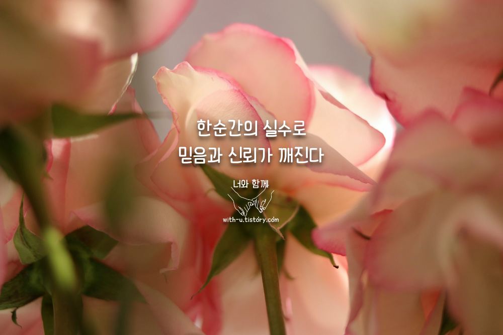  실수 명언 : 짧고 좋은 글귀  : 짧은 명언