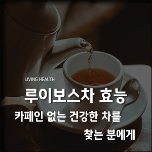 루이보스차-효능