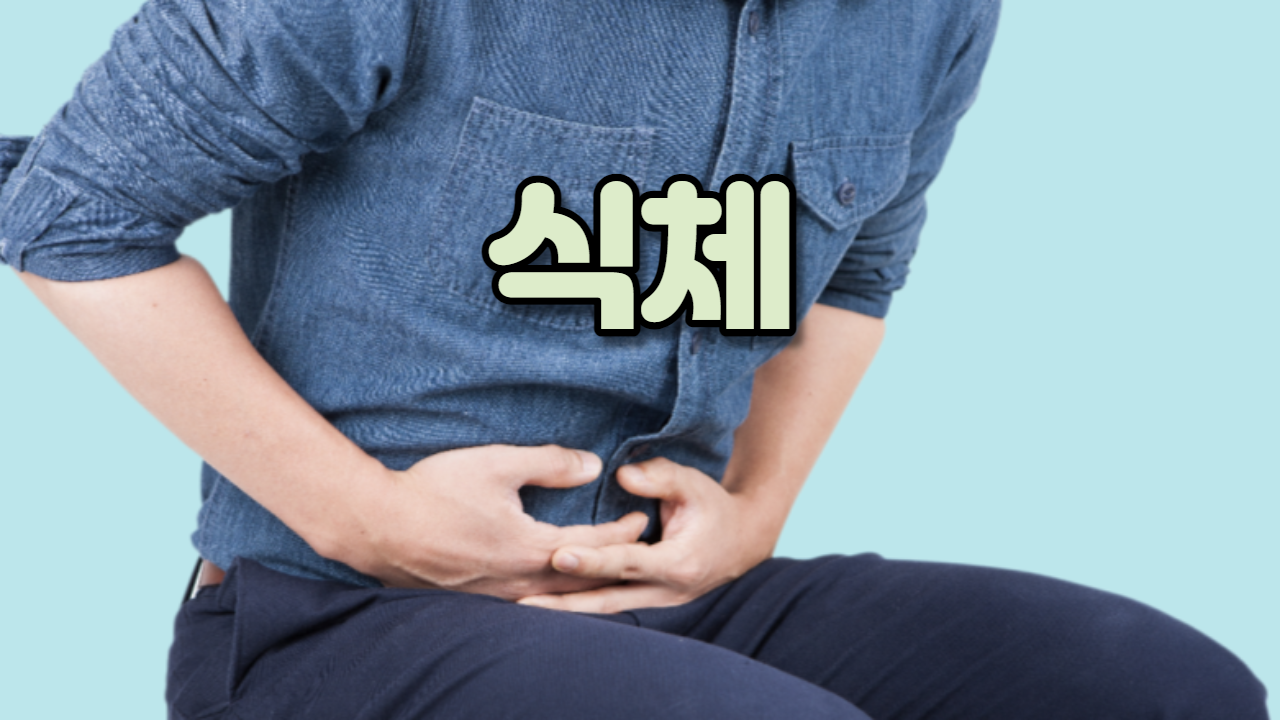  식체