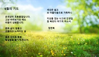 6월 셋째주 예배 대표 기도문 모음_7