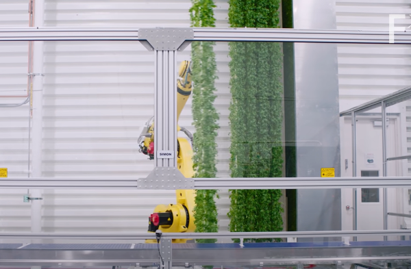 수직농업-기술-적용된-자동화된-수직농장-생산공장-로봇팔-수직배양판-세우는-모습