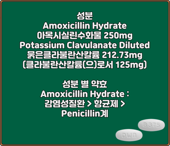 베아크라정_성분