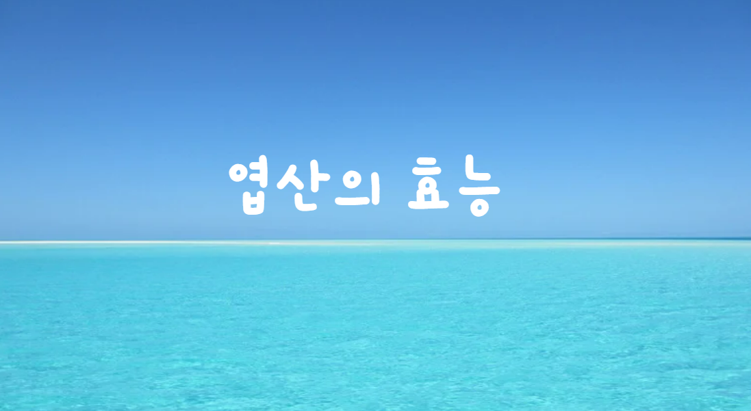  엽산의 효능
