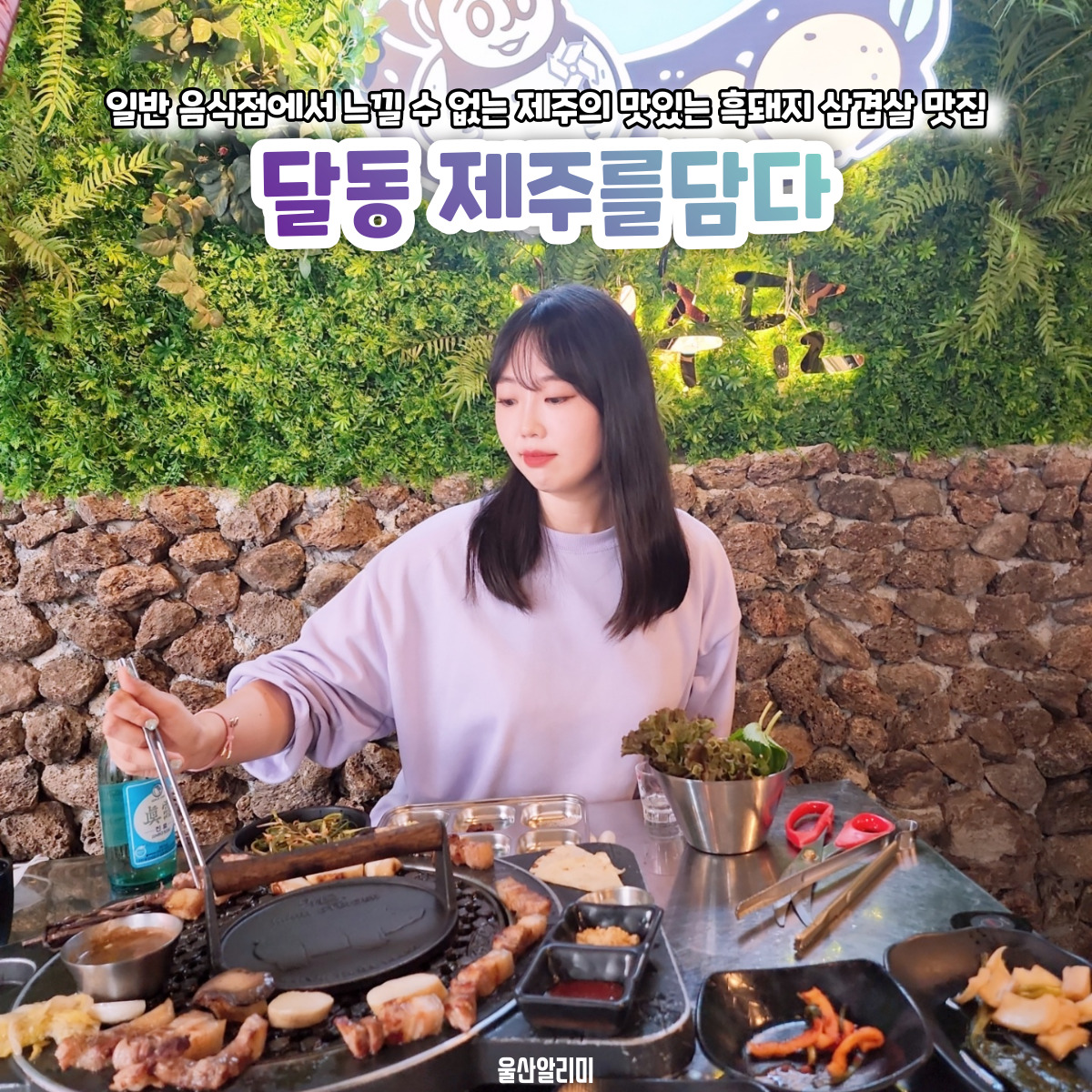 제주를담다 이미지