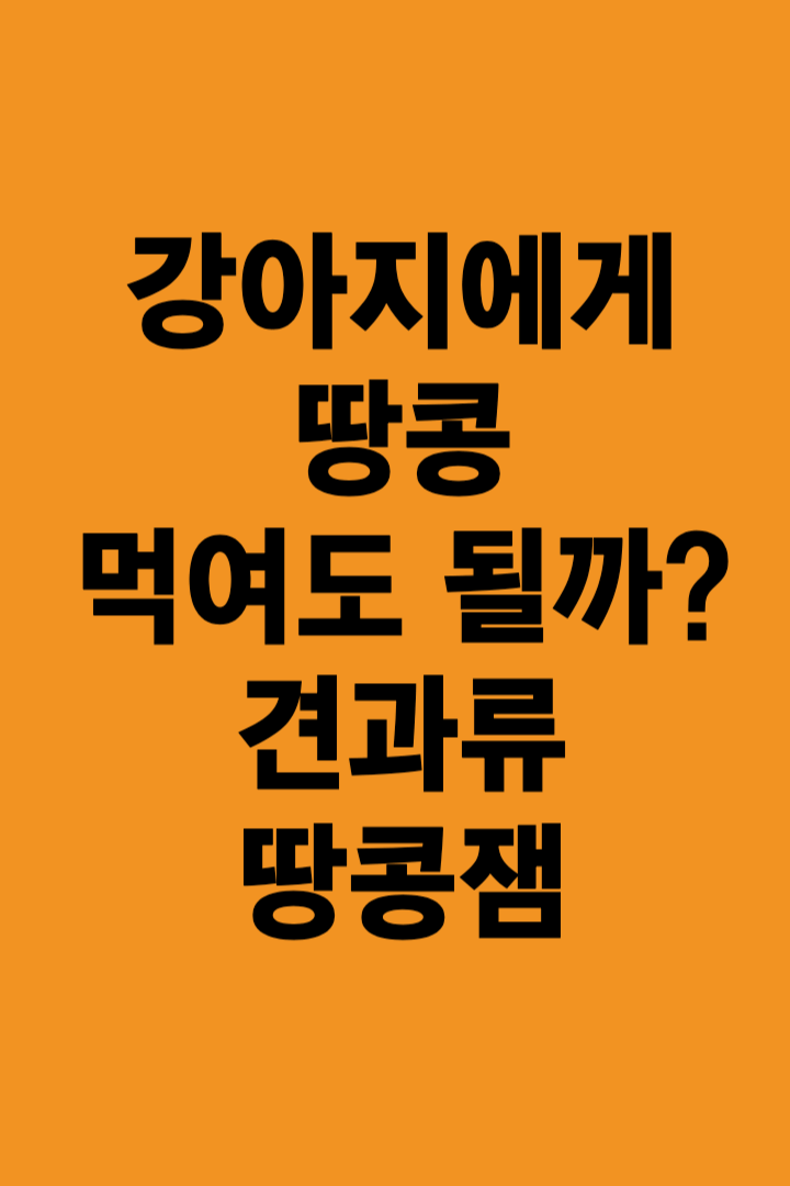 강아지에게-땅콩을급여해도-좋은지에대한문구