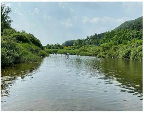 마루노리캠핑장