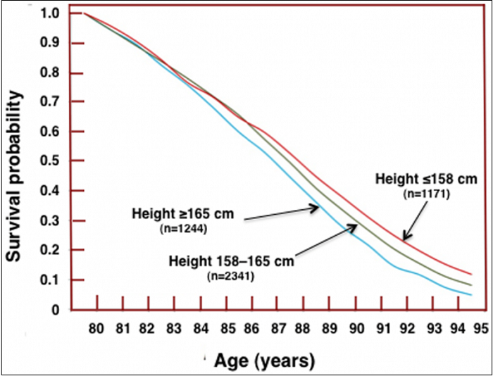 작은 사람 키 큰 사람 누가 오래 살까 When bigger mammals live longer than smaller ones&#44; why do taller humans die younger?