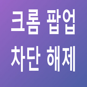 크롬 팝업 차단 해제, 이렇게 쉽다고? 진작 할 걸! 크롬 팝업 차단 해제, 이렇게 쉽다고? 진작 할 걸!