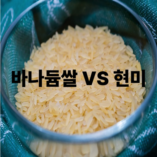 바나듐쌀 VS 현미-혈당관리에 더 좋은 쌀은?