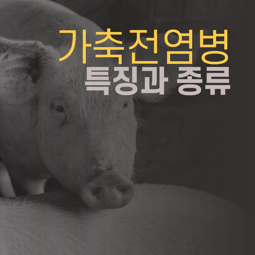  가축 전염병의 종류와 특징을 알아보자