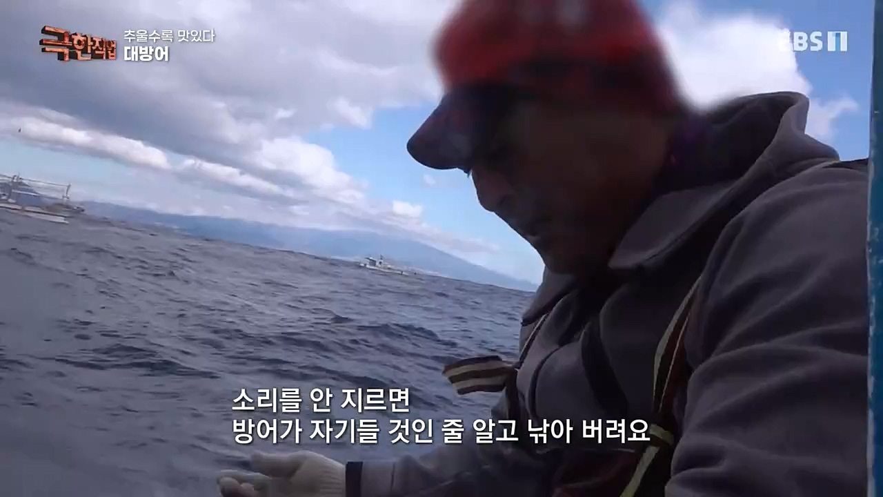 [극한직업] 추울수록 맛있다 장(長)마와 대방어.E734.221218p-NEXT.mp4_20221219_193415.914.jpg