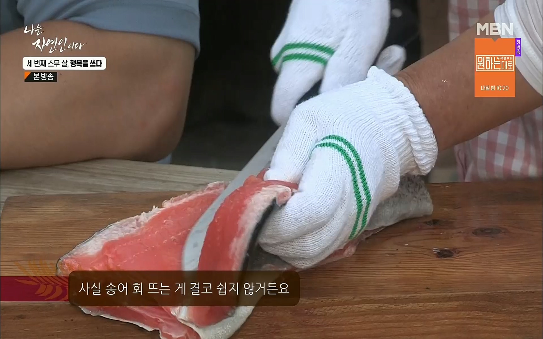 나는 자연인이다.E516.220824p.H264-F1RST.mp4_20220825_164144.910.jpg