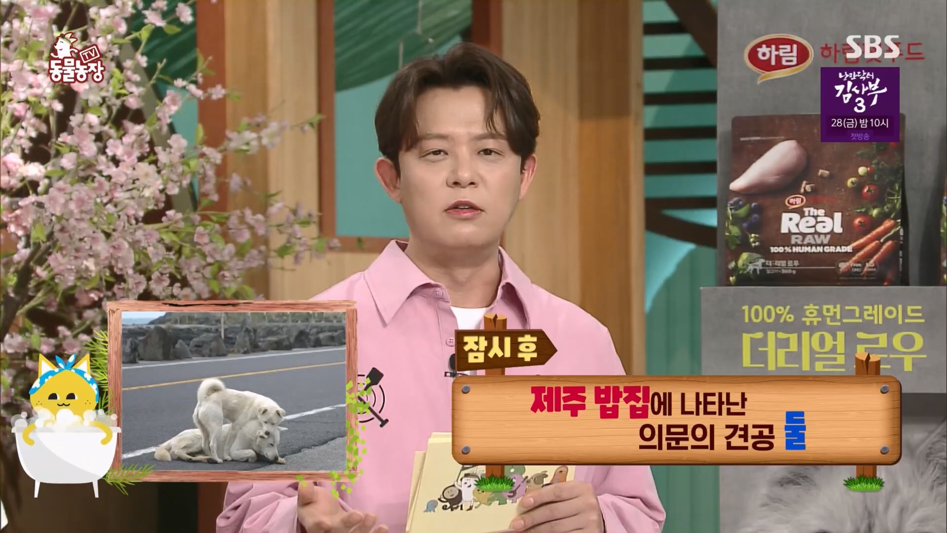 TV 동물농장.E1116.230416p.H264-F1RST.mp4_20230418_194158.842.jpg