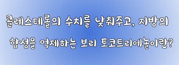콜레스테롤의 수치를 낮춰주고, 지방의 합성을 억제하는 보리 토코트리에놀이란?