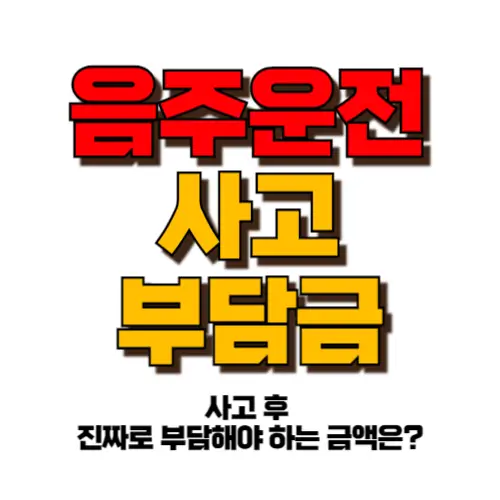 음주운전 사고부담금 썸네일