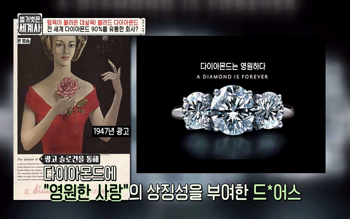 벌거벗은 세계사.E62.220831p-NEXT.mp4_20220905_201040.532.jpg