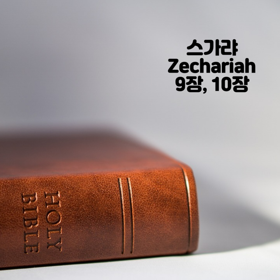 Holy BIBLE 생명의 삶 영어 한글 성경 말씀 - 스가랴(Zechariah) 9장, 10장