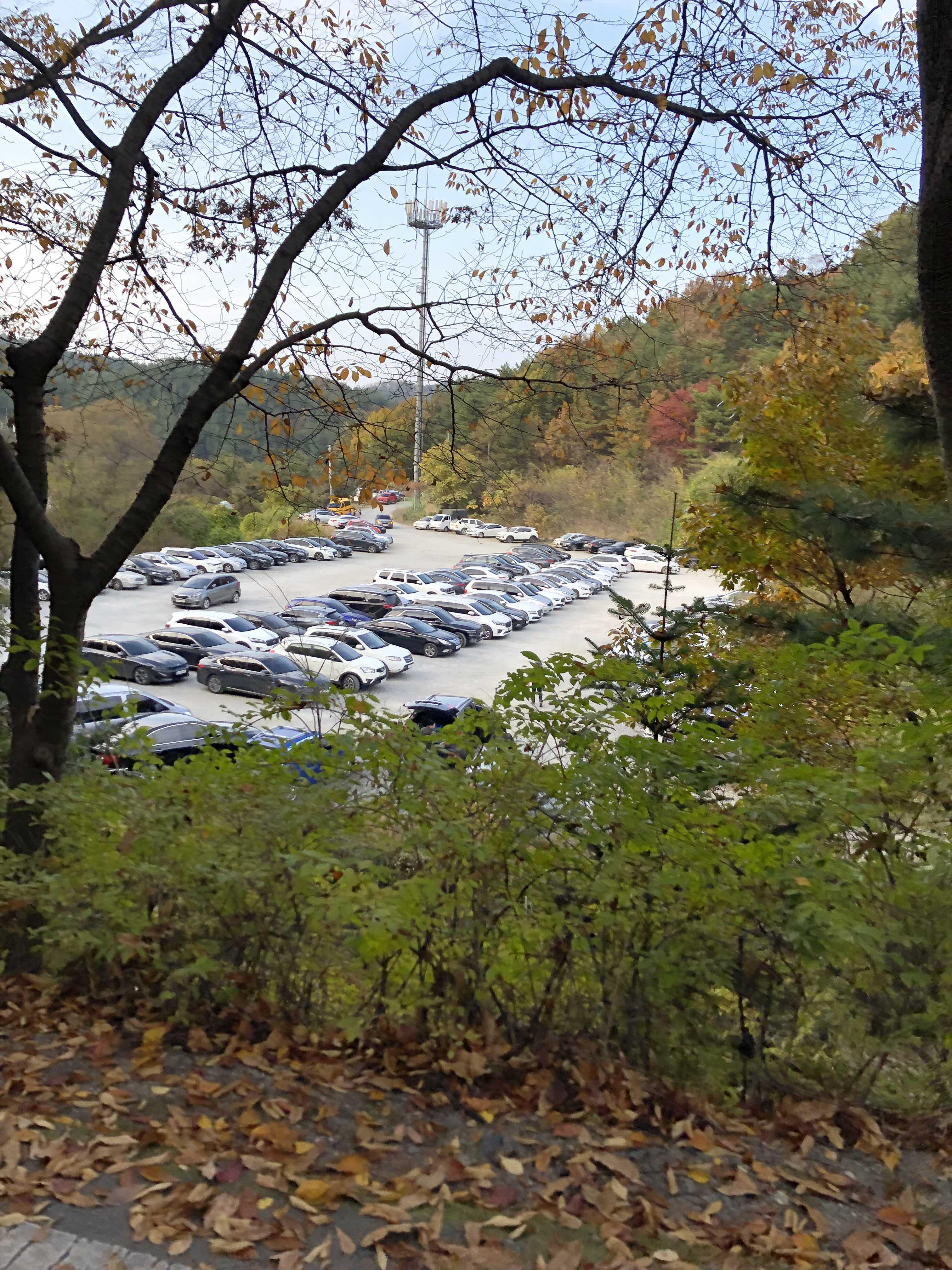  대전 계족산 맨발 걷기 성지 장동산림욕장 주차장 가을 단풍