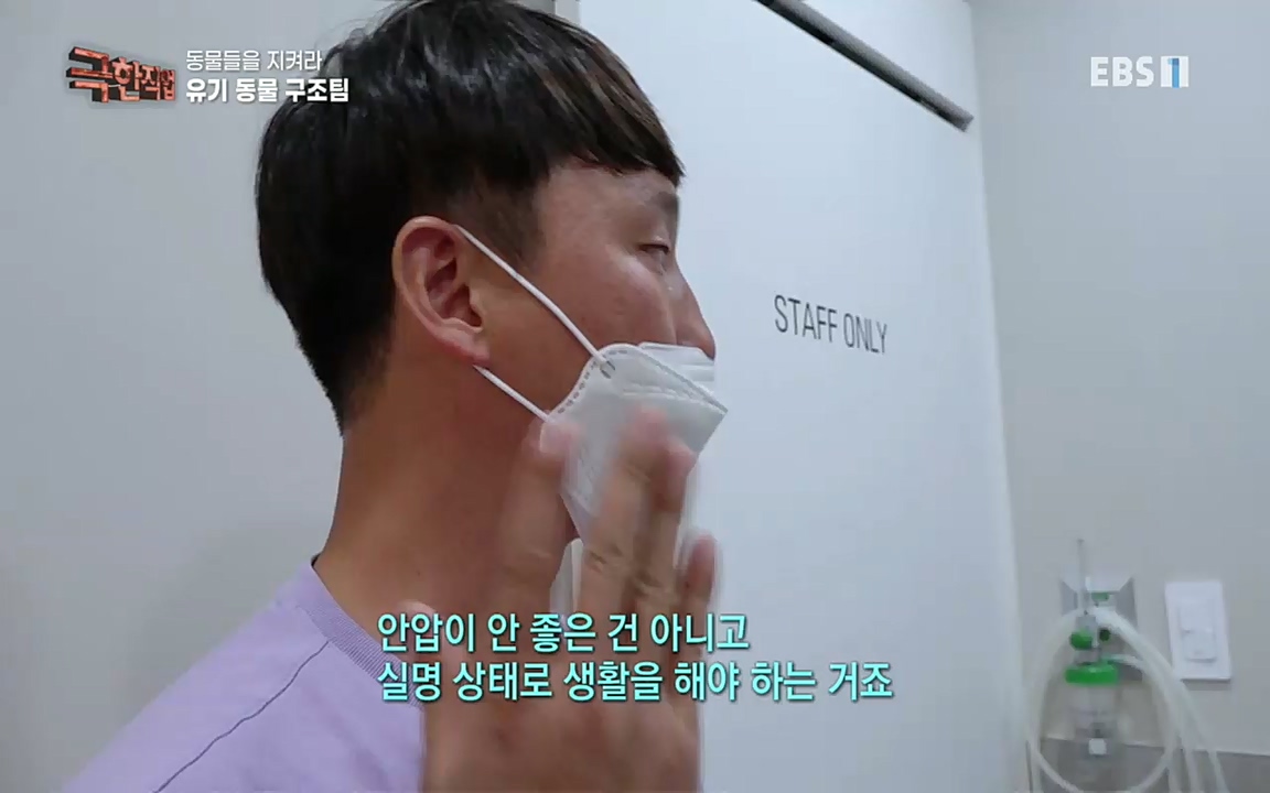 TV - 교육의 중심 EBS동물들을 지켜라, 수의사와 유기 동물 구조팀.mp4_20220913_200158.764.jpg