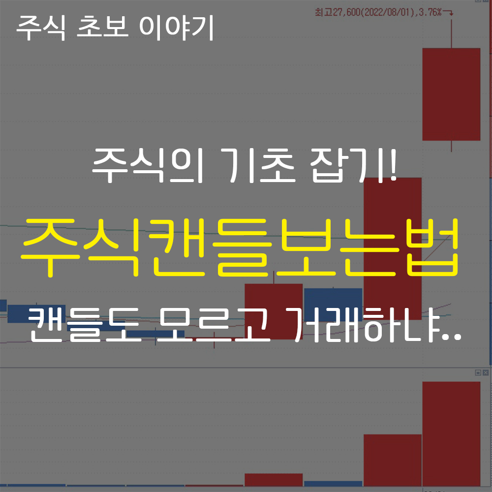  주식을 하려면 제발 주식차트 보는 법 정도는 알자 (초보 주식거래 방법)