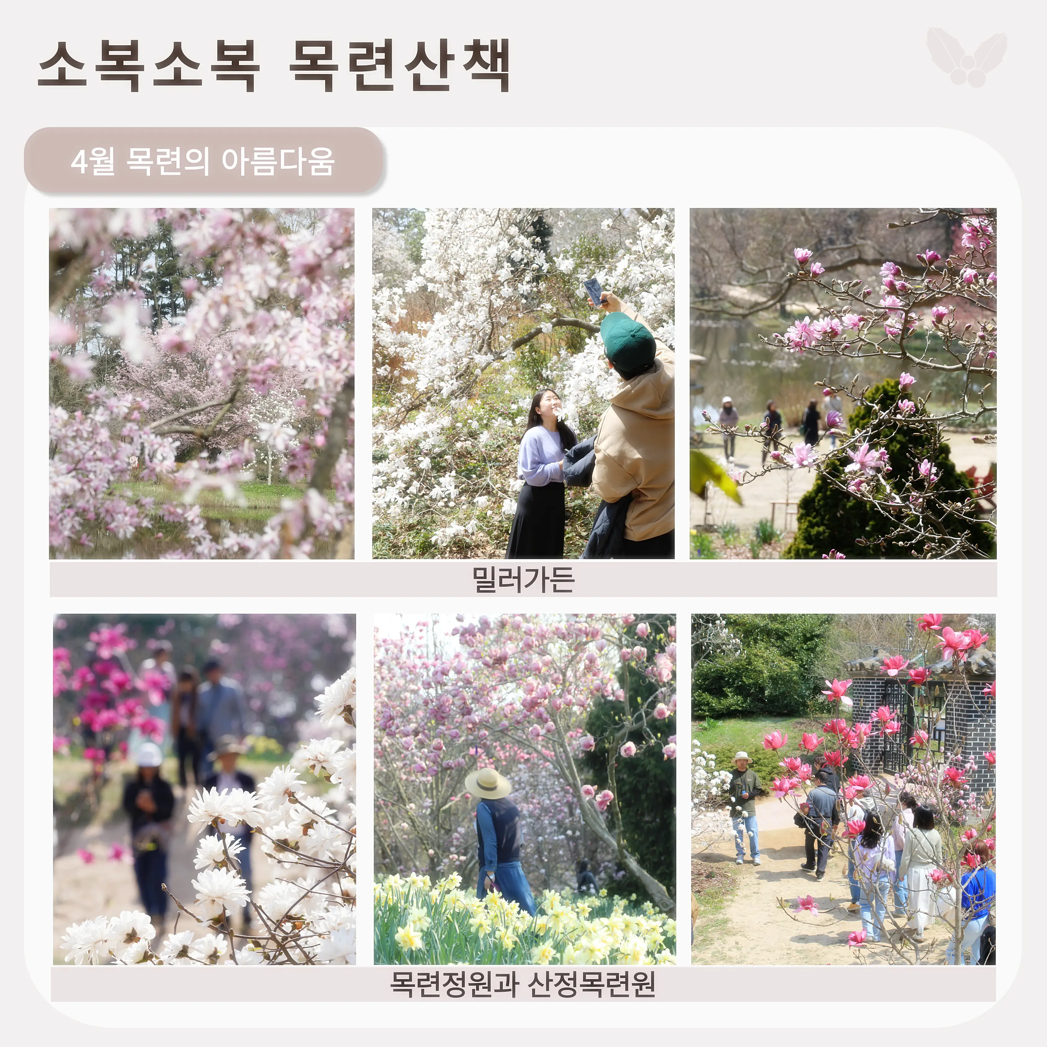 4월 목련산책 수목원 사진