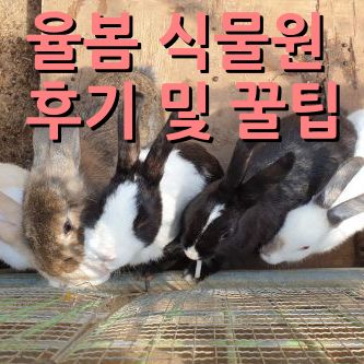 율봄식물원-토끼들에게-먹이주는사진