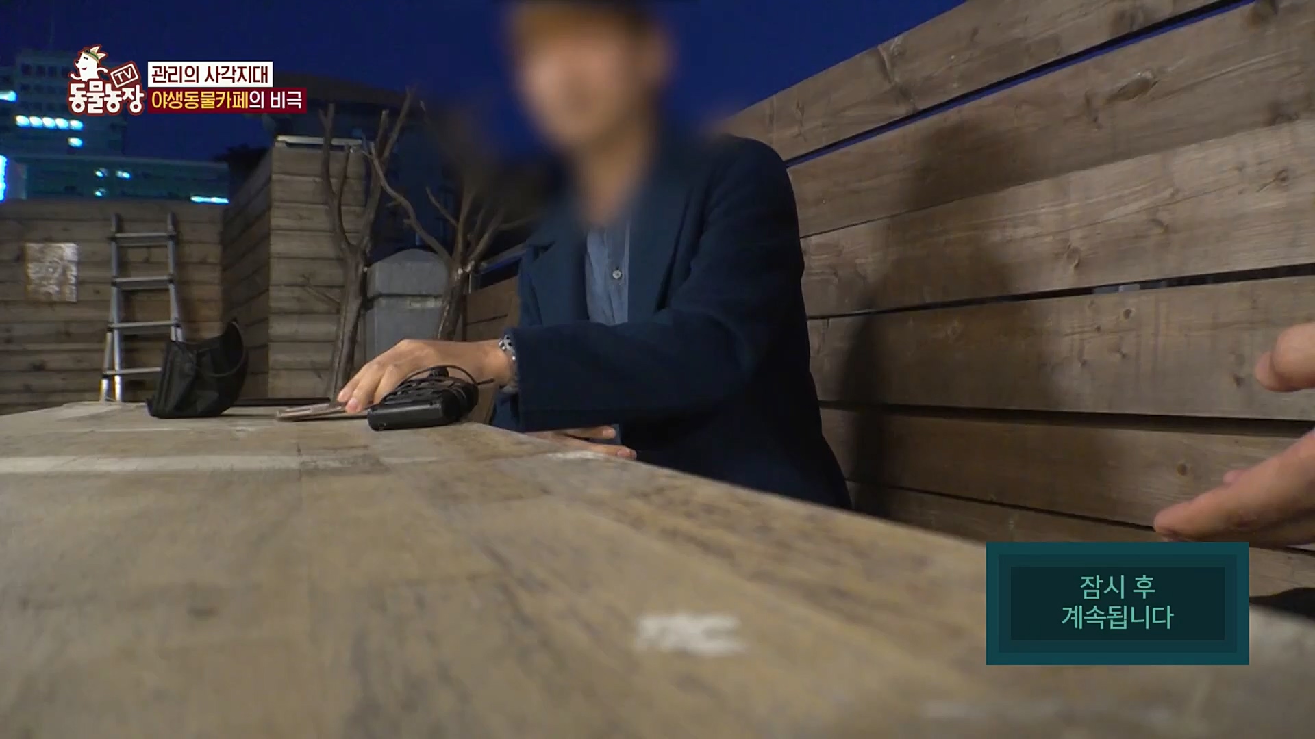 TV 동물농장.E1097.221127p.H264-F1RST.mp4_20221127_181721.805.jpg