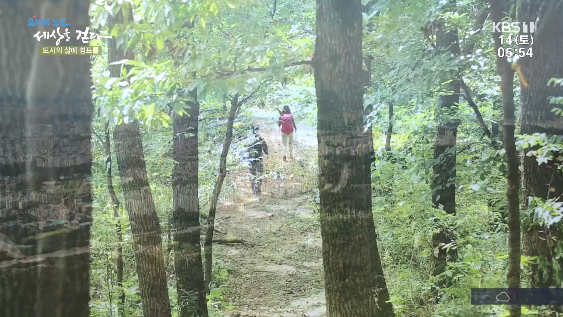 트레킹노트 세상을 걷다.E290.231014p.H264-F1RST.mp4_20231014_181409.379.jpg
