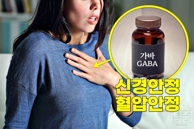 혈압 낮추는 영양제 고혈압영양제 추천 가바 GABA