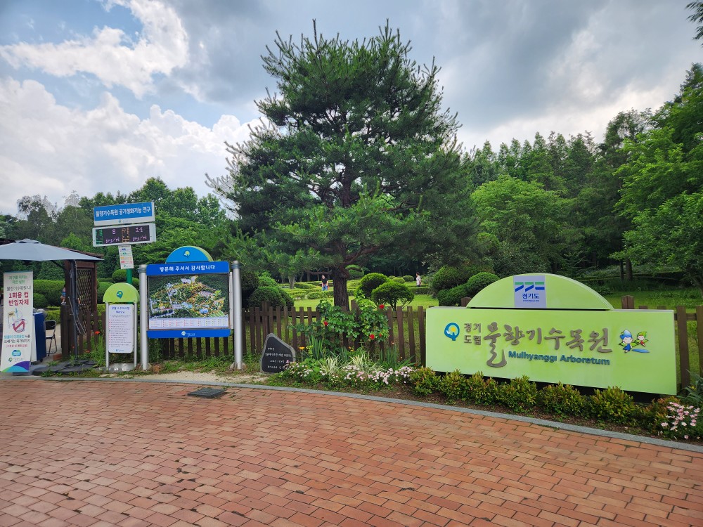  아이랑 어디가지? |  물향기수목원 - 아이와 자연을 만끽하라