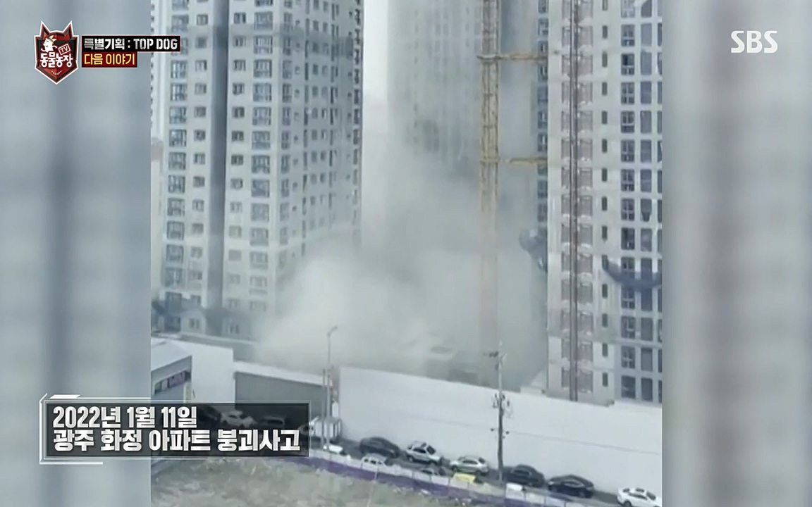 TV 동물농장.E1085.220905p-NEXT.mp4_20220904_173315.353.jpg