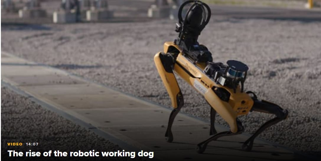 인력 부족 문제 해결책 4족 로봇 시장 경쟁 가열 AT WORK Where four-legged robot dogs are finding work in a tight labor market