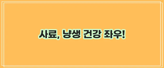 신선함 이미지