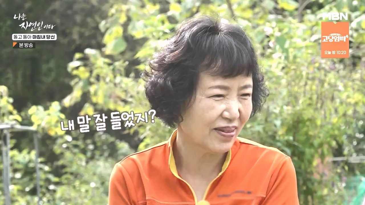 나는 자연인이다.E577.231026p-NEXT.mp4_20231026_200406.170.jpg