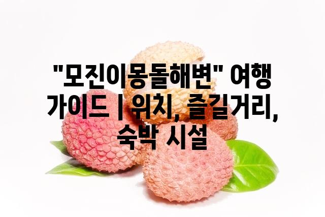 랜덤146