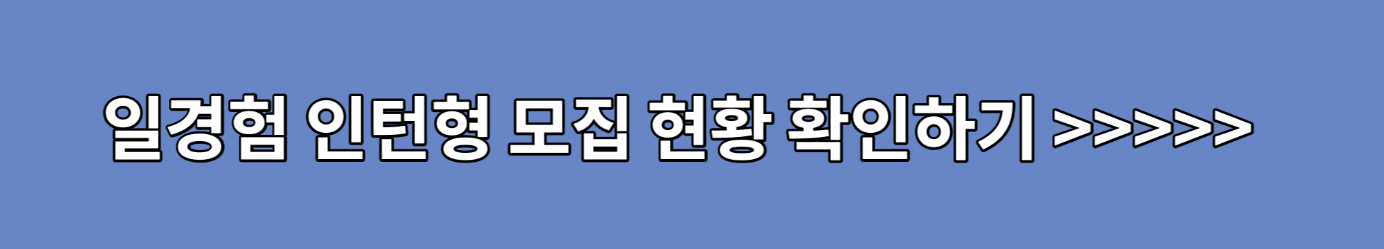 일경험-인턴형