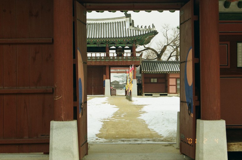 중고 펜탁스 SF7 자동차 필름 카메라 이야기. 결과는 9개월만에 나왔다. 13