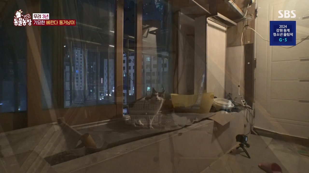 TV 동물농장.E1154.240115p-NEXT.mp4_20240114_184350.683.jpg