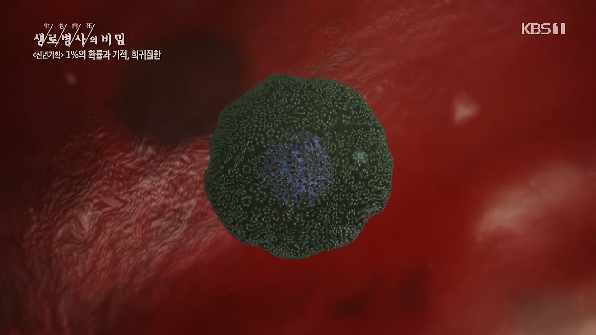 생로병사의 비밀.E850.230104p.H264-F1RST.mp4_20230117_195204.808.jpg
