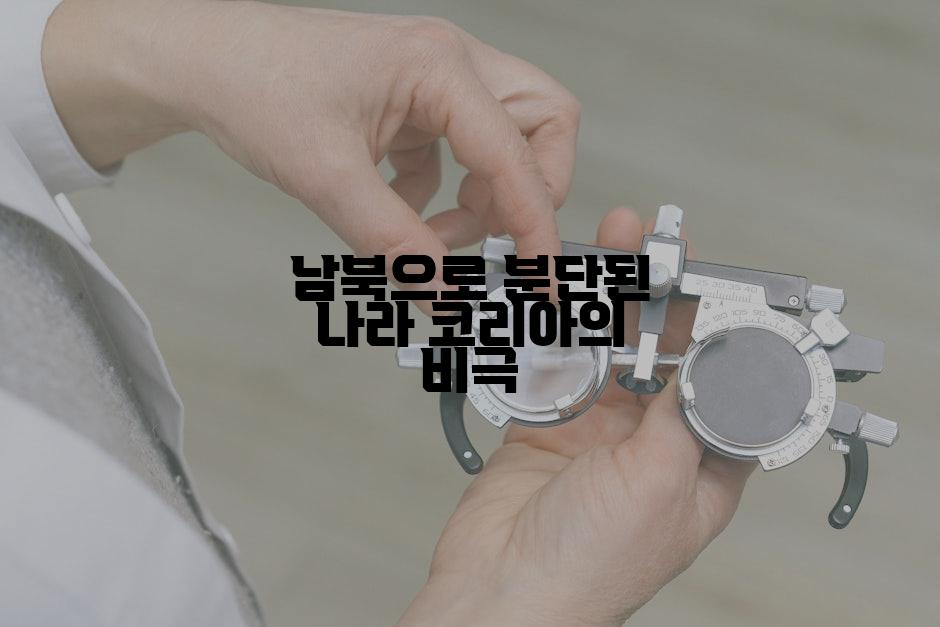 남북으로 분단된 나라 코리아의 비극