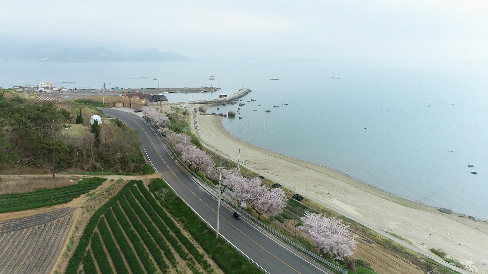 보성다방 이미지