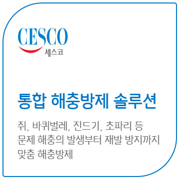 세스코 가정집 가격 방역비용 총정리