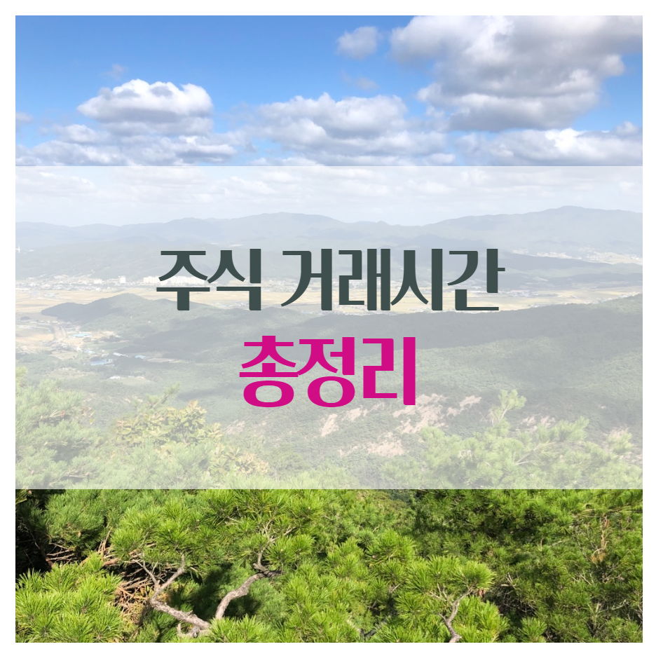  주식시장 거래 시간 정리 (정규시간, 시간외 종가, 시간외 단일가)