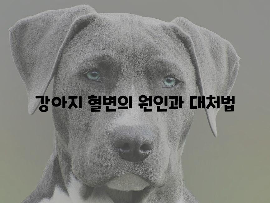 강아지 혈변의 원인과 대처법