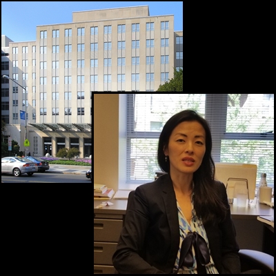  브루킹스 연구소 정 박, 대북전단 살포 금지법 비판