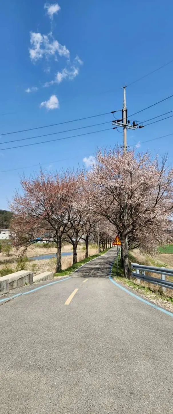 뱃들공원
