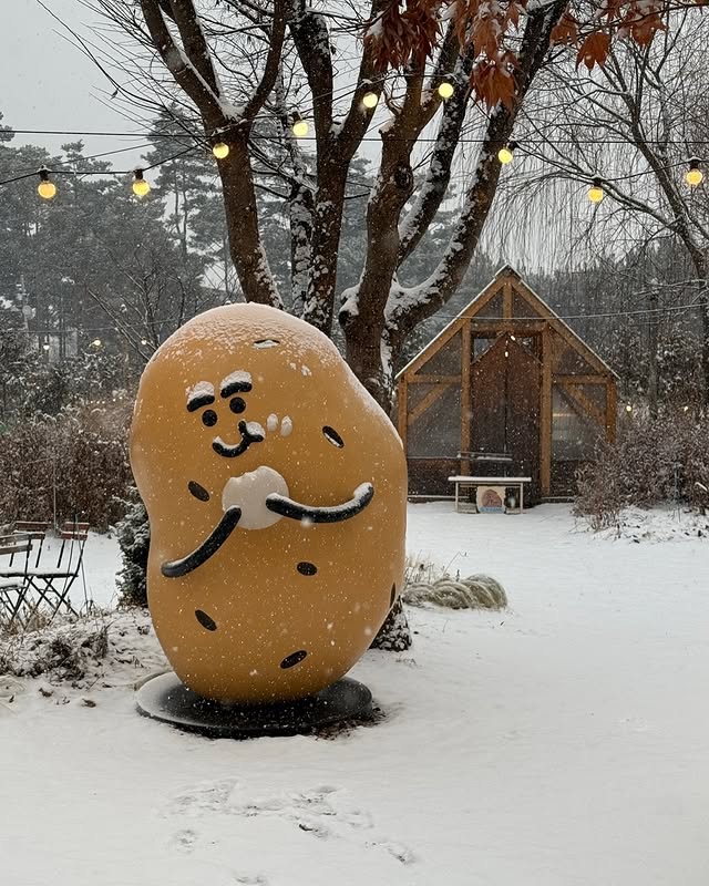 원조춘천숯불닭갈비2호점 이미지