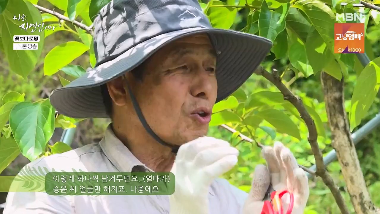 나는 자연인이다.E608.240606p-NEXT.mp4_20240606_164051.379.jpg