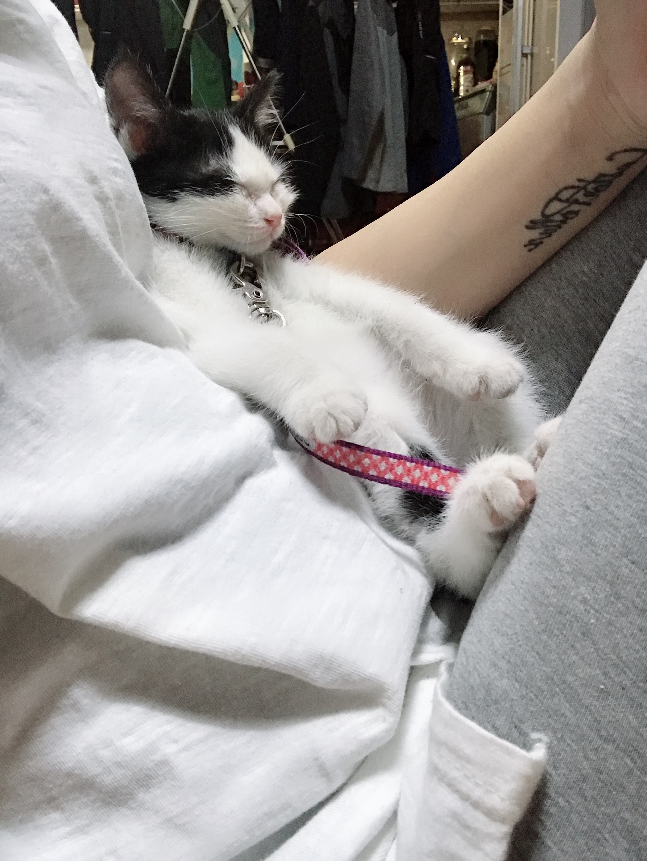 alt 태그
